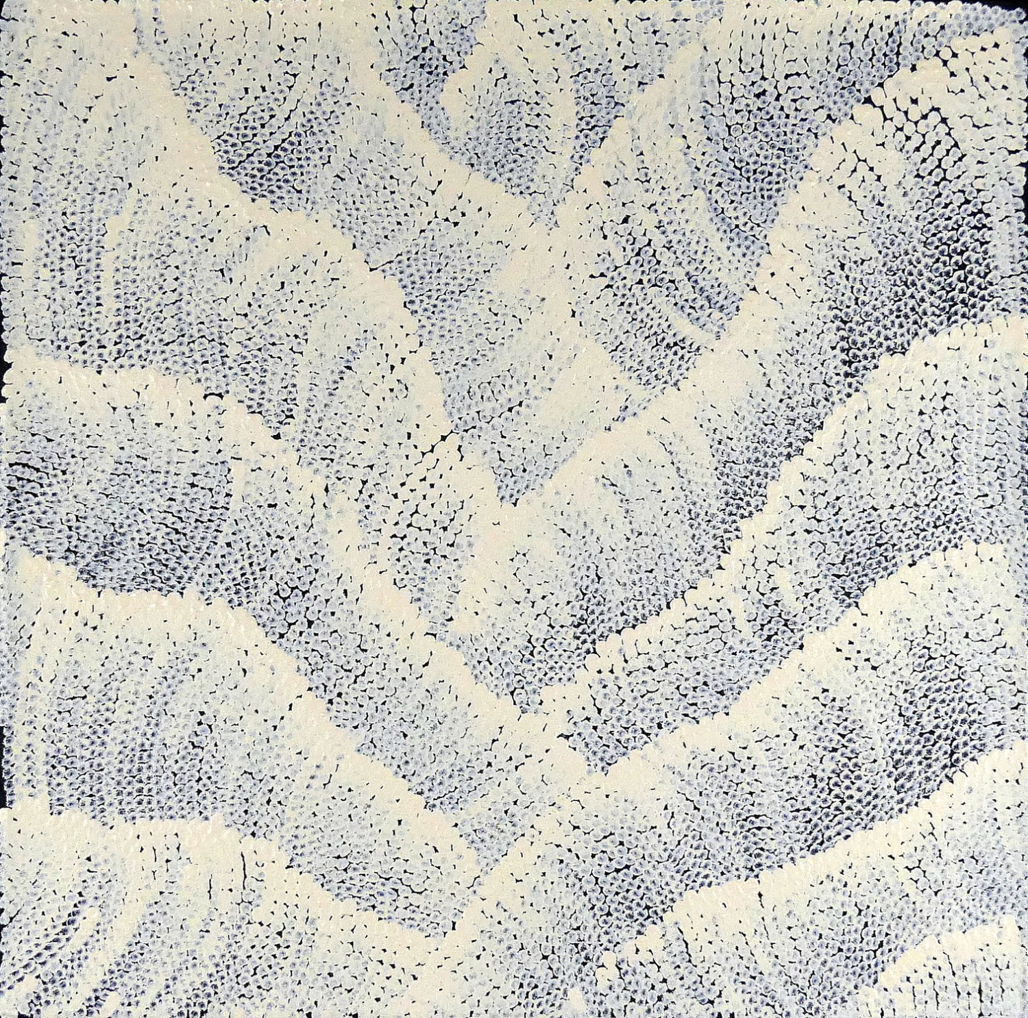 Sand Dunes